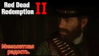 Мимолетная радость RDR2 