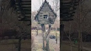 Я заблудилась! 