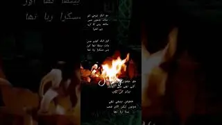 Favorite Poetry By Amjad Nazeer