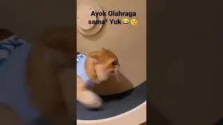 Oyen Olahraga 🥳