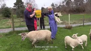 VOFF #4: Bonden Bergsvåg