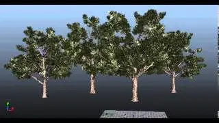 Tree test