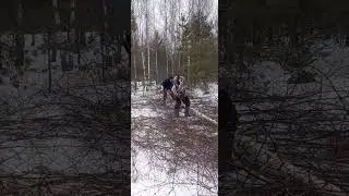 Пусть провинция, пусть брутальная 