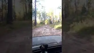 22 февраля 2021 г.
