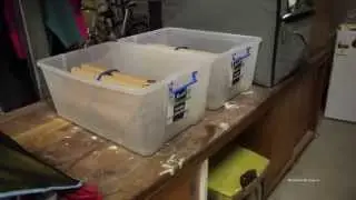 How To Set Up A Woodies Colony   Part 3