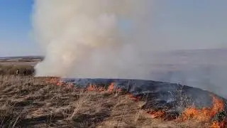 Белоомут. разлив Оки. 10.04.2021 г.