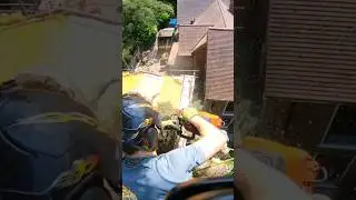 Cutting tree over a roof