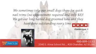 Dippity Do Dog REVIEWS (480) 899-1133 Pet Groomers Chandler, AZ