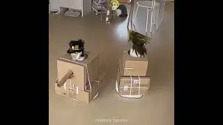 DIO VS Jotaro
