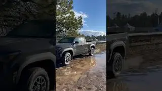 NEW Underground 2024 Tacoma TRD PreRunner - Back that #%!?! Up!
