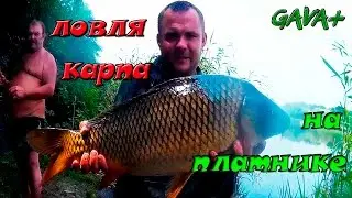 Отчёт про ловлю карпа!!!