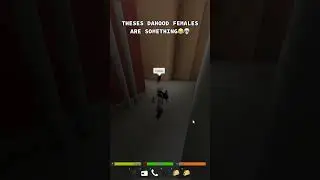 THESED DAHOOD FEMALES ARE CRAZY😂💀 #roblox #dahood #robloxdahood #shorts