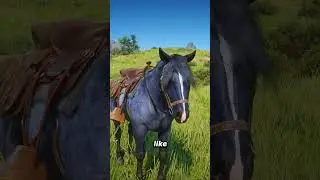 Recover a rare horse in Red Dead Redemption 2 🐎