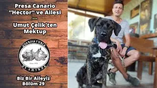 Umut Çelik'ten Mektup - Presa Canario Hector ve Ailesi - Biz Bir Aileyiz Bölüm 29