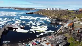 СЕРДЦЕ ДИКСОНА