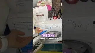 Плесень в стиральной машине