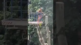 Женщину заметили с бензопилой