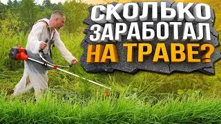 Покос Травы - Сколько Заработал?