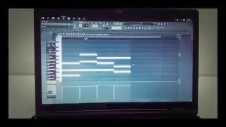 Akai VIP software crashes FL Studio