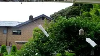 IMGP6288