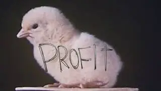 Profit 2023