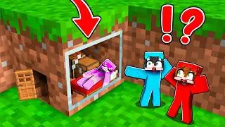 What is INSIDE the BLOCKS in Minecraft?