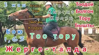 Ошко сатылды