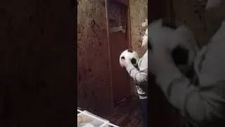 Мяч убийца 2018😂😂