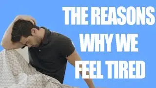 Why Am I So Tired? 10 Common Causes Of Tiredness.