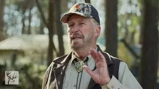 Ask Dr Deer | Is Cottonseed Good for Deer? | Learn Why Cottonseed May Not Be Good Deer Feed