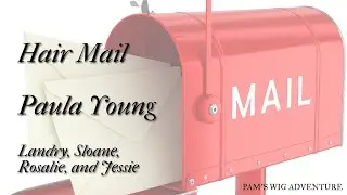 Hair Mail  Paula Young - 4 styles