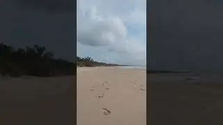 Tipo Lost 2022