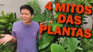 4 MYTHS about plants