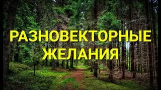 №315 Разновекторные желания.