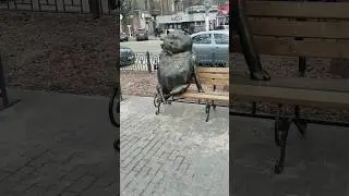 Город Алея Кот Волк 