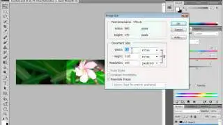 Trick to Update Linked Images in Adobe Illustrator