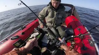 Рыбалка на море (Рыбинское водохранилище) 2019 август