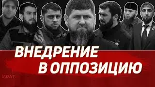Кадыровские кроты.