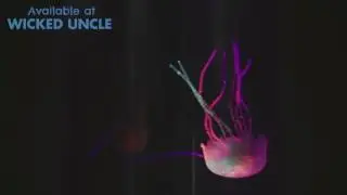 Jellyfish tank - Available at Wicked Uncle