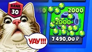 ЗАДОНАЧУ 2000 ГЕМОВ ПОДПИСЧИКУ, ЕСЛИ НЕ АПНУ 1000 КУБКОВ НА ОДНОМ БРАВЛЕРЕ! БРАВЛ СТАРС