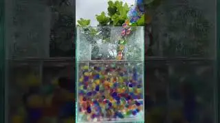 Small colorful balls fall into the water 