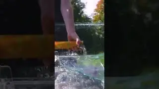 How to destroy an aquarium with a firecracker 🧨 