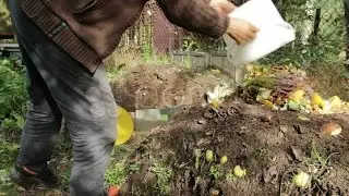 Compost Pile - Man Throws Food Scraps Onto A Compost Pile. Stock Footage