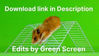 MOUSE GREEN SCREEN VIDEO.