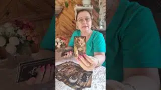 О ЧЕМ ВАМ НУЖНО ЗНАТЬ ПРЯМО СЕЙЧАС?