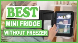 Best Mini Fridge without Freezer You Can Buy, That Are Worth Your Money - Top Rated Mini Fridge