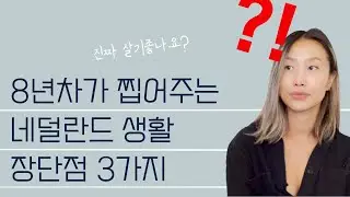 암스테르담 8년차가 말한다