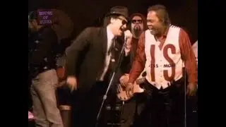 BLUES BROTHERS & FRIENDS : Belushi Birthday Bash 1995
