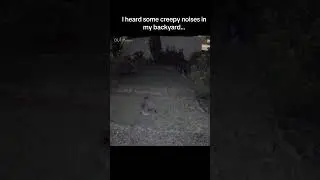 Creepy noises heard in backyard...