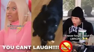 EXTREME TRY NOT TO LAUGH CHALLENGE!!! #trending #funny #shorts